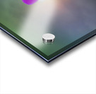 Delicate Beauty Acrylic print