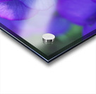 Blueness Acrylic print