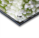 Another World Acrylic print