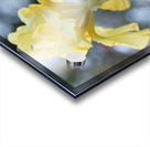 Water Flag Acrylic print