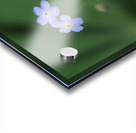 Small Universe Acrylic print