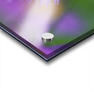 Day Dream Acrylic print