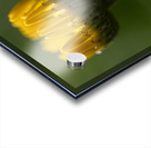 Pizazz Acrylic print