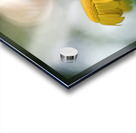 Life Is Strange Acrylic print