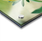 This Way Acrylic print