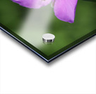 Visitor Impression Acrylique