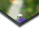 Dazzler Acrylic print