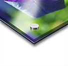 Coin coin Acrylic print