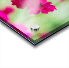 Valley Red Acrylic print