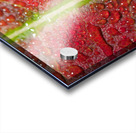 Maple Leaf Acrylic print