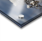 Frosted Twig Acrylic print