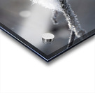 Frozen Wild Berry Acrylic print