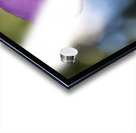 Prairie Beauty Acrylic print