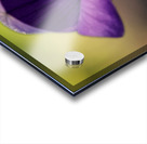 Welcome Acrylic print