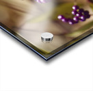 Profusion Acrylic print