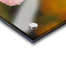 Among Others Acrylic print