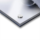 Soap Bubble Acrylic print