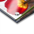 Twin Sisters Acrylic print