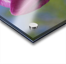 Perfect Day Acrylic print