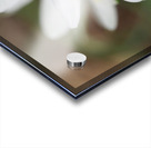 Tiniest World Acrylic print