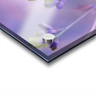 Jacob s Ladder Acrylic print