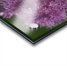 Jewels In Nature Acrylic print