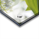 May Lilies Acrylic print