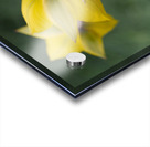 Spring Forward Impression Acrylique