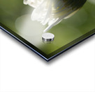 Tranquility Acrylic print