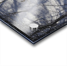 Peaceful Acrylic print