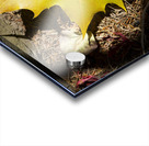 Single Maple Leaf Acrylic print