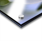 Snowdrop Bulb Acrylic print