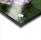 Endless Summer Acrylic print