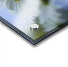 From Under Acrylic print