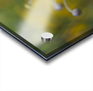 Pretty Lovely Impression Acrylique