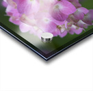 Tea of Heaven Acrylic print