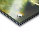 Wild Marigolds Impression Acrylique