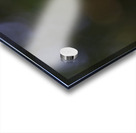 Spring Snowflake Acrylic print