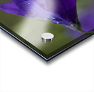 Water Drop Refraction Acrylic print