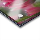 Charming Ladies Acrylic print