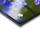 Beautiful in Blue Impression Acrylique