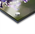 Drops and Bokeh Acrylic print