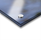 Lady in Purple Acrylic print