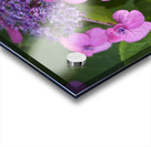 Showy Ladies Acrylic print