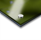 Tiny Blue Beauties Impression Acrylique