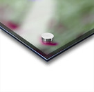 Lovely Ladies Acrylic print