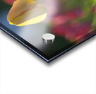 Two of a Kind Acrylic print