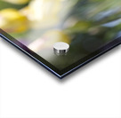 That One Acrylic print