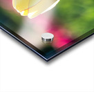 Precious Acrylic print