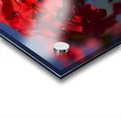 Pretty in Red Acrylic print